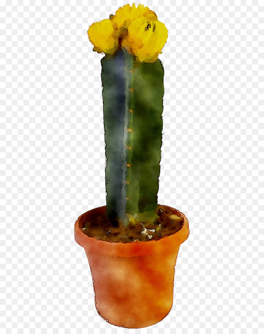 De Leste Pêra Espinhosa，Cactus PNG