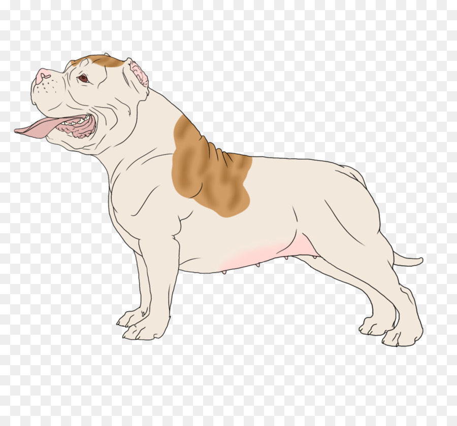 Brinquedo Bulldog，Bulldog PNG