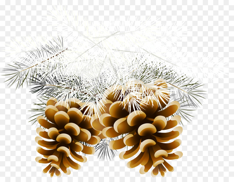 Christmas Day，árvore De Natal PNG
