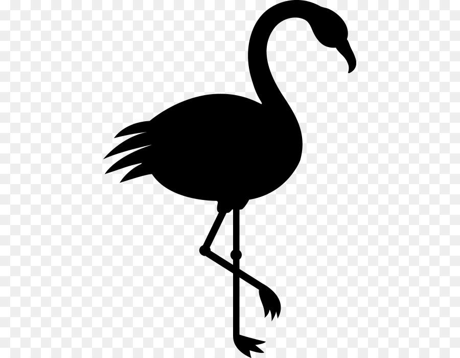 Flamingo，Criatividade PNG