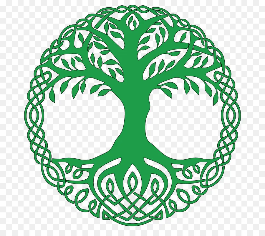 árvore Da Vida，Símbolo PNG