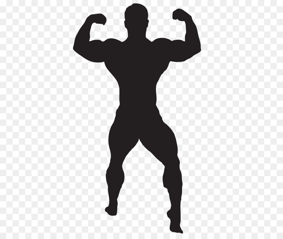 Musculação，ícones Do Computador PNG