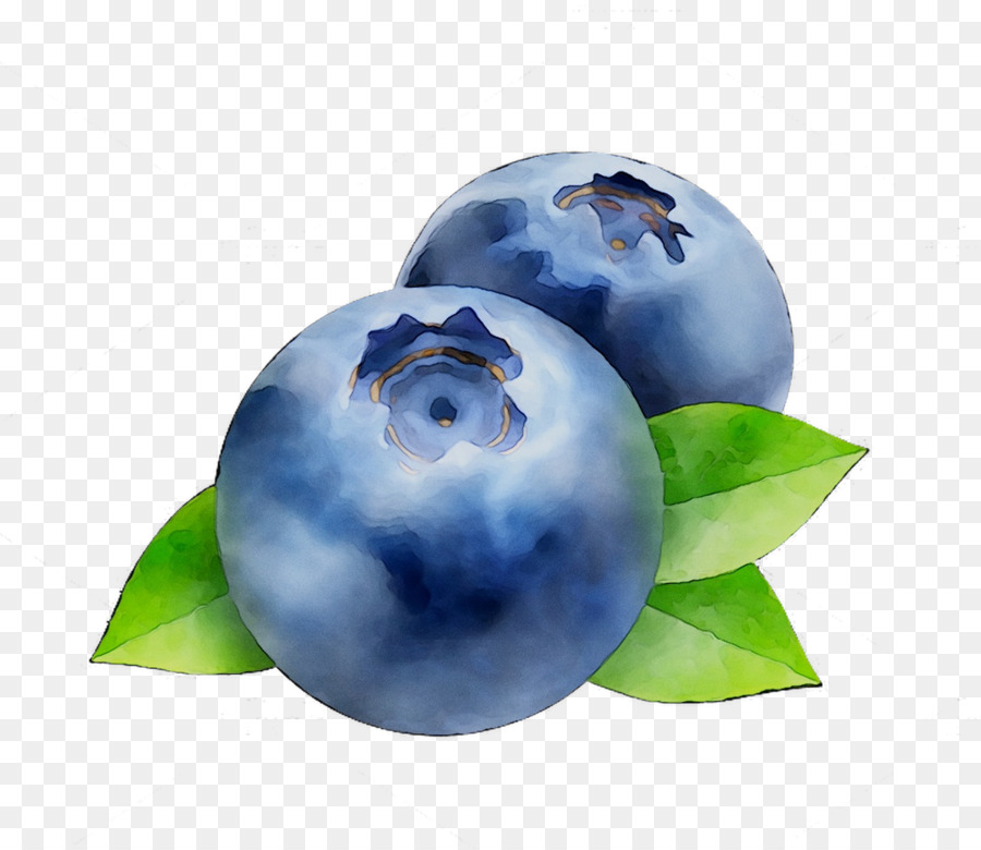 Boldo，Mirtilo PNG