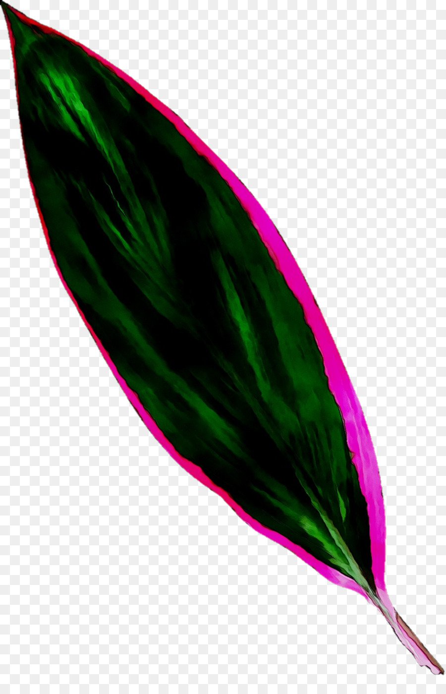 Folha，Verde PNG