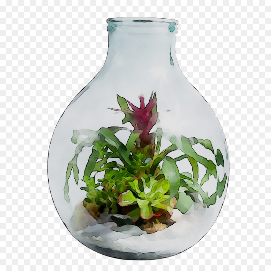 Terrário，Plantas PNG