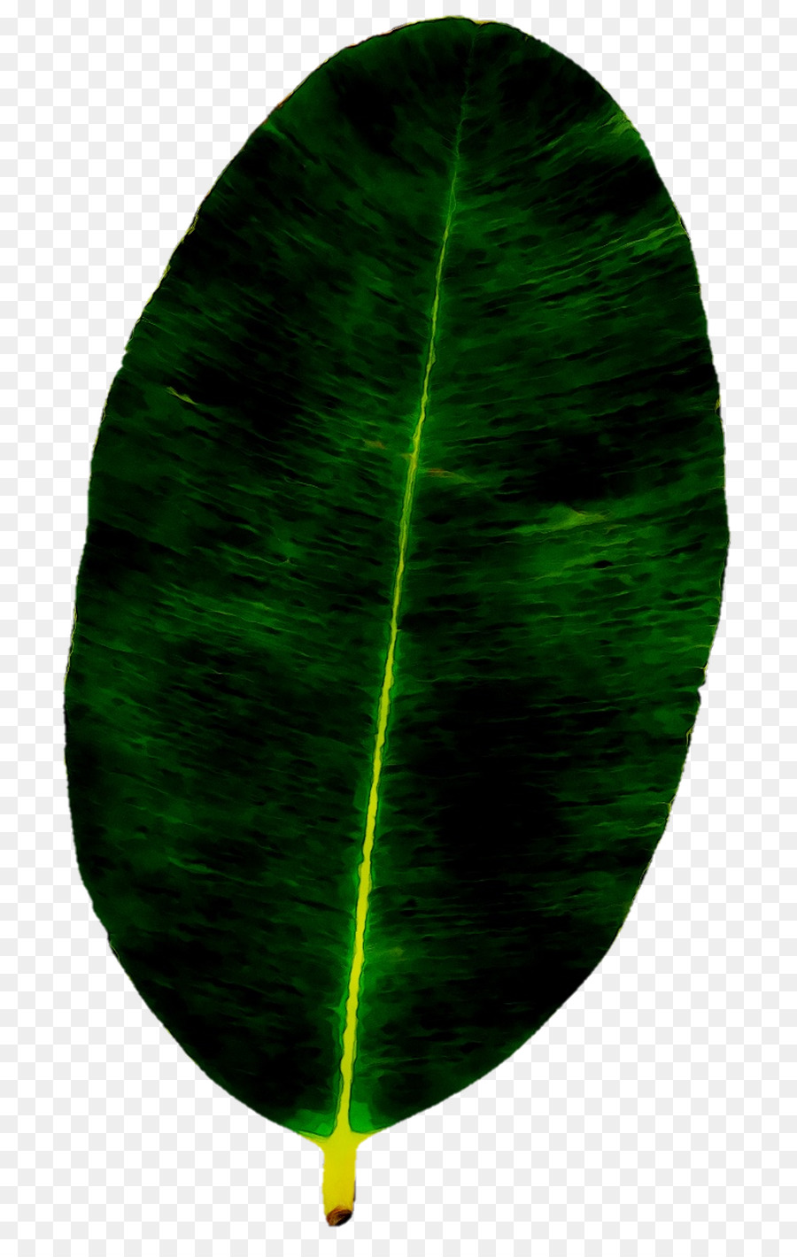 Verde，Folha PNG