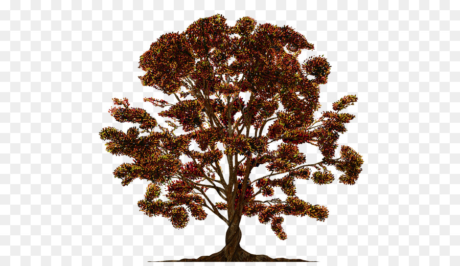Nuvem De árvore，árvore PNG