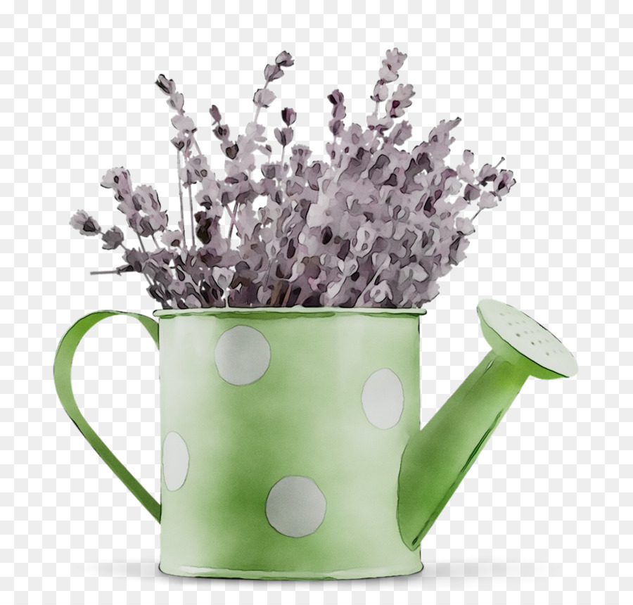 Roxo，Plantas PNG