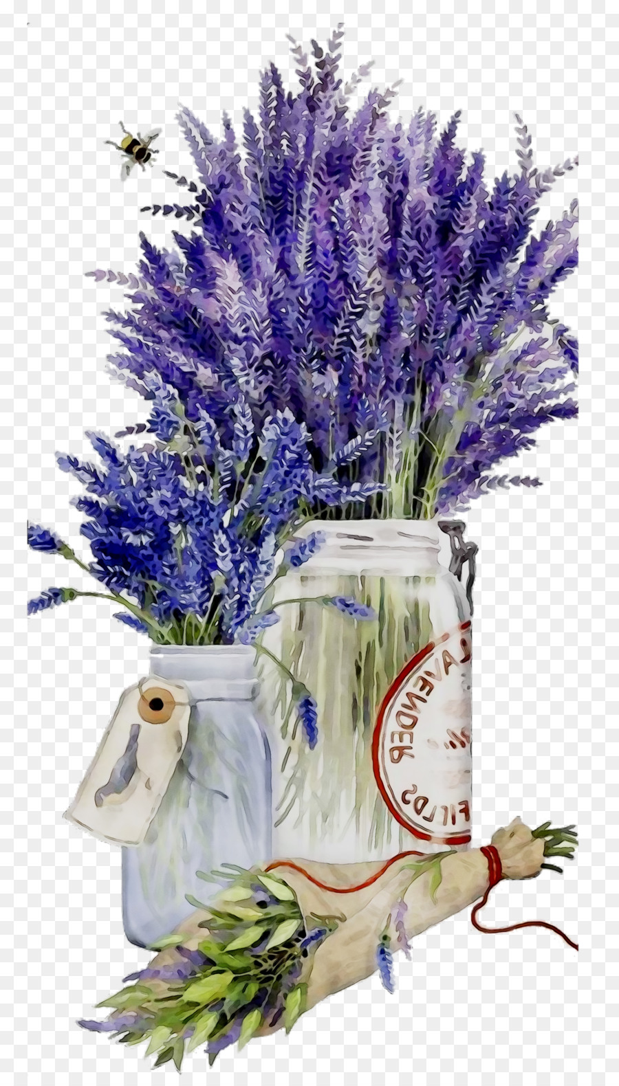 Lavanda，Papel PNG