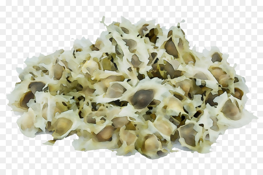 Cozinha Vegetariana，Princípio PNG