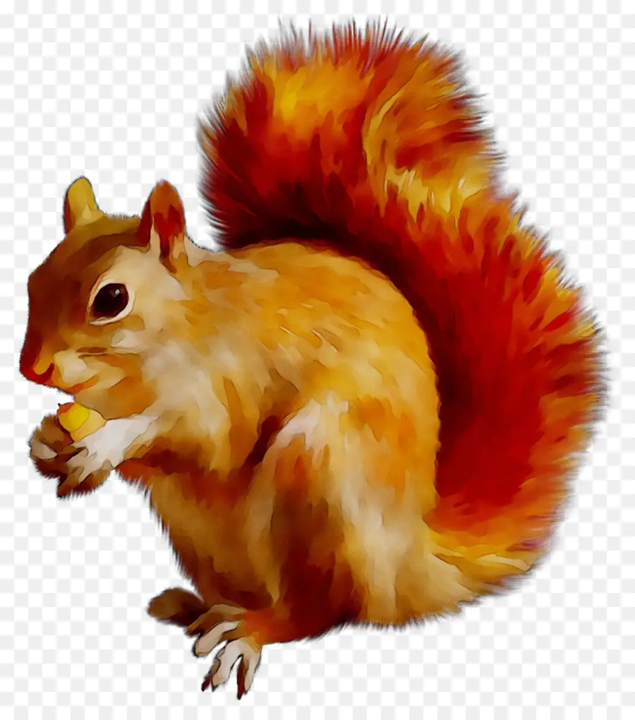 Chipmunk，Roedores PNG