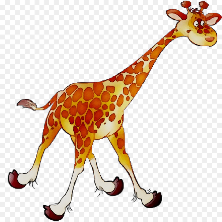 Girafa，Alto PNG