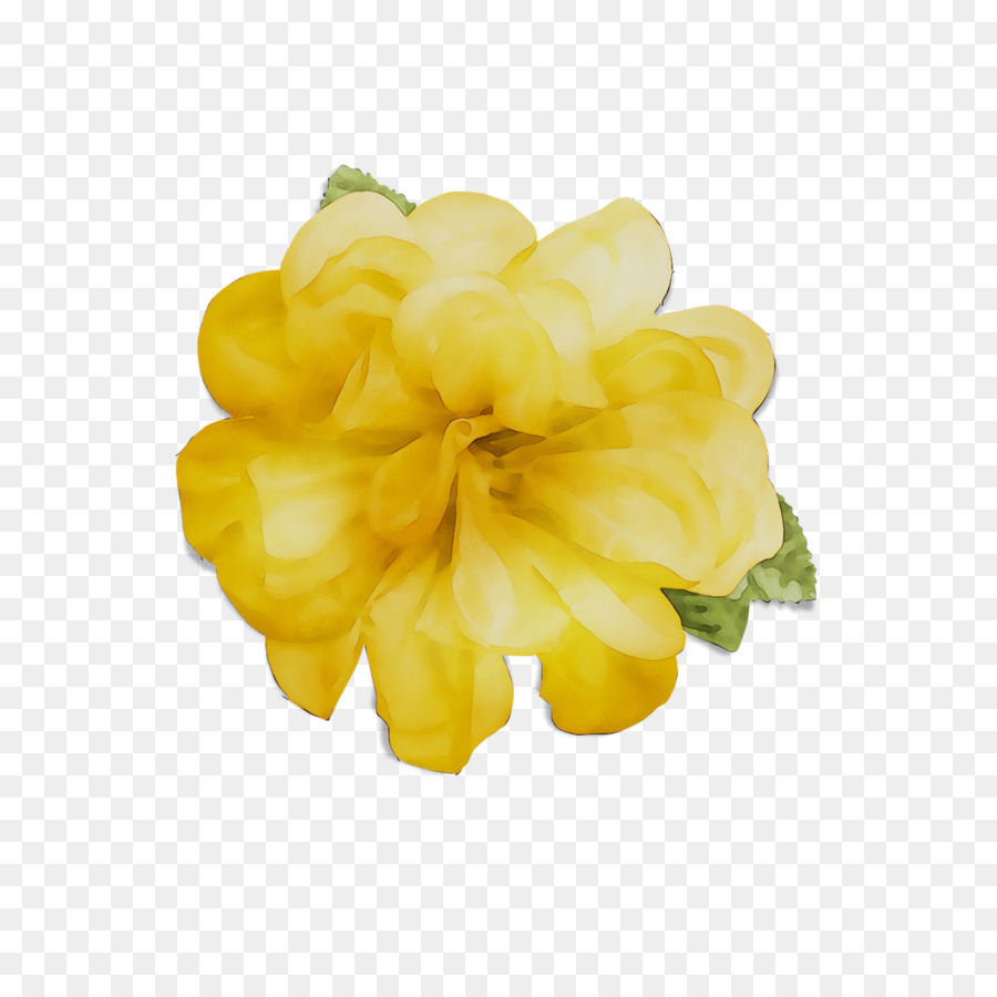 Amarelo，Flores De Corte PNG