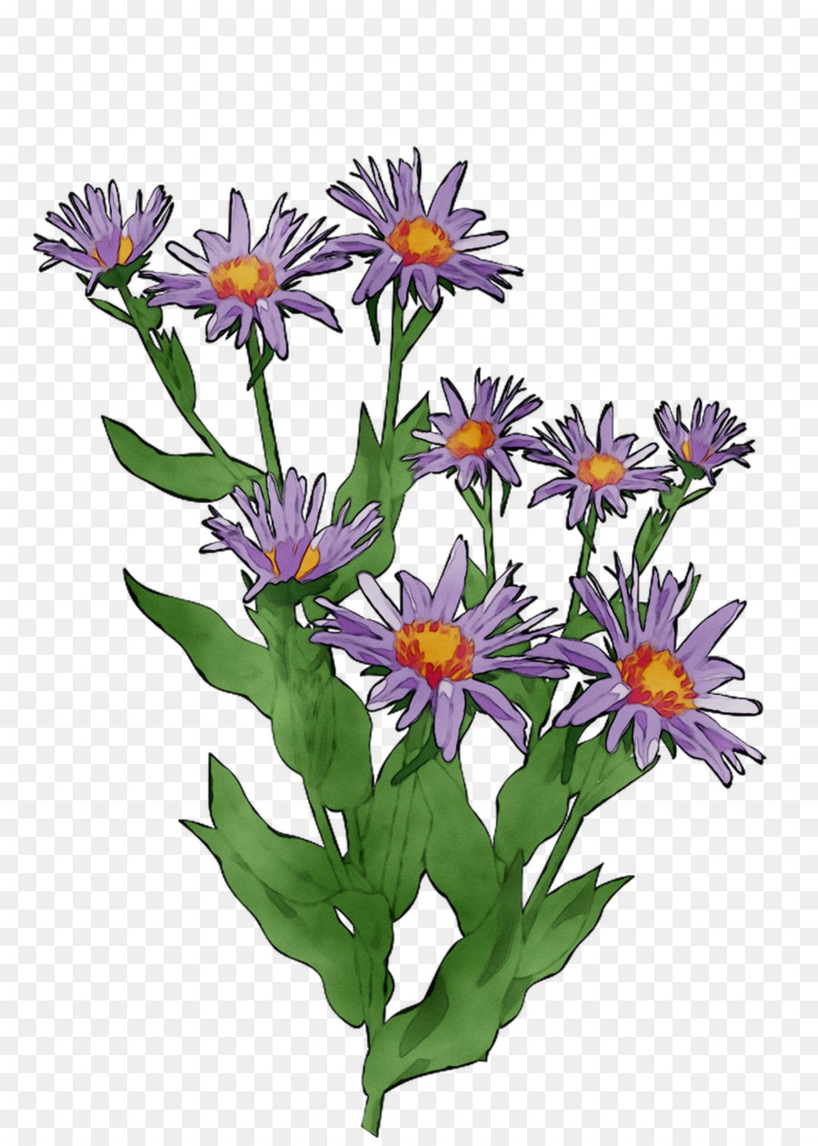 Flores，Florescer PNG