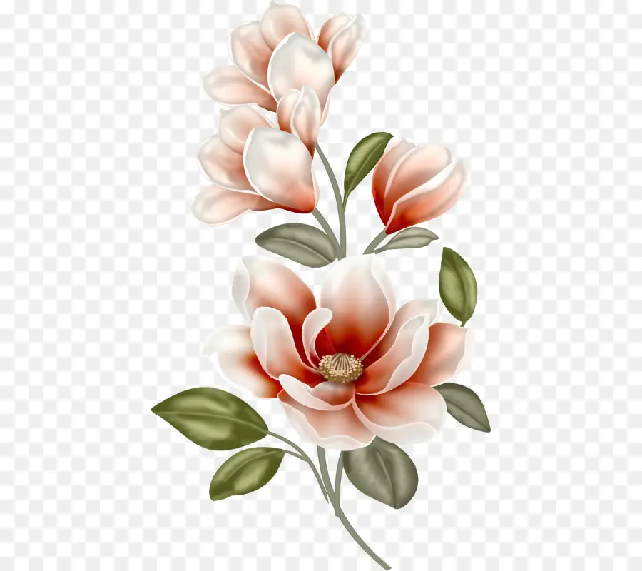 Flores，Florescer PNG