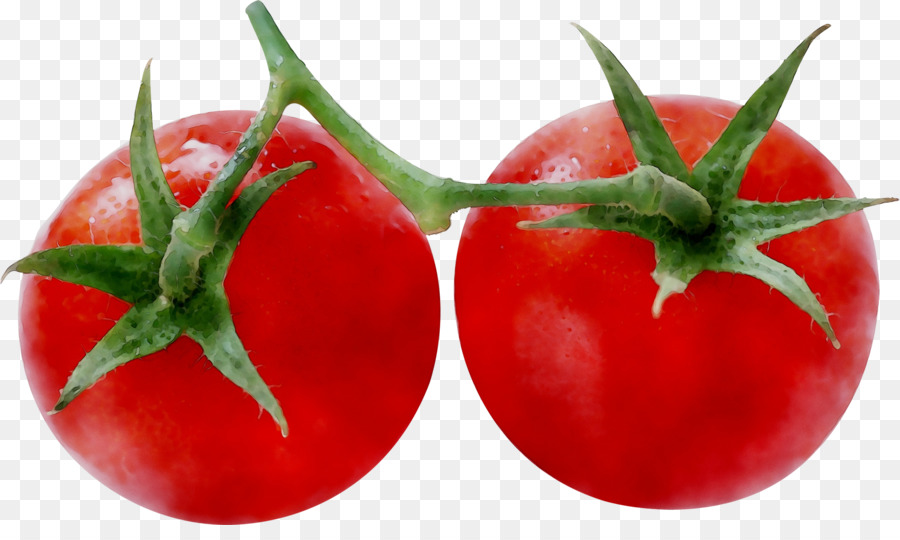 Ameixa Tomate，Tomate PNG