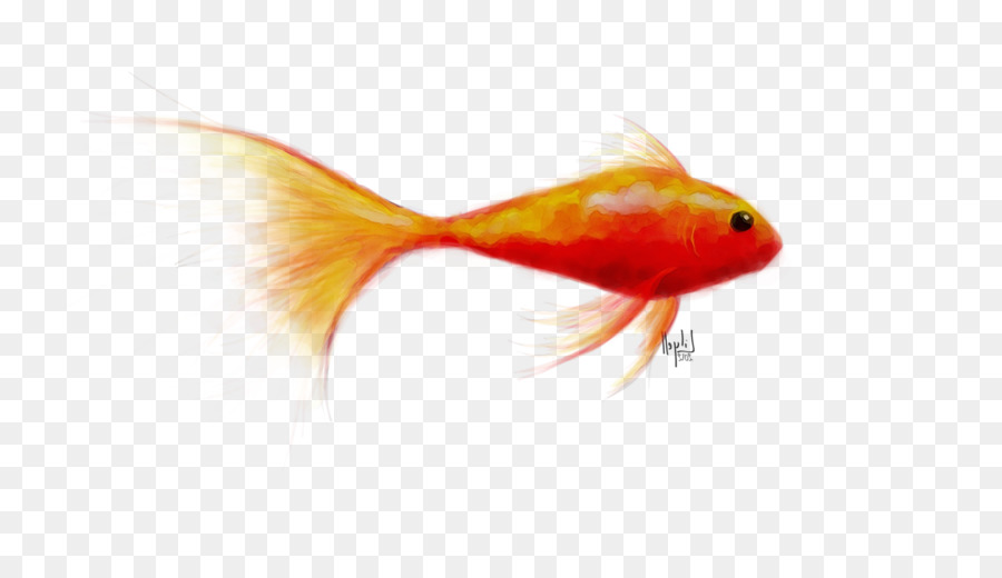 Peixe Dourado，Peixe PNG