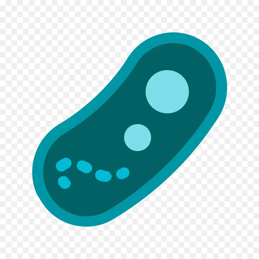 ícones Do Computador，Bactérias PNG