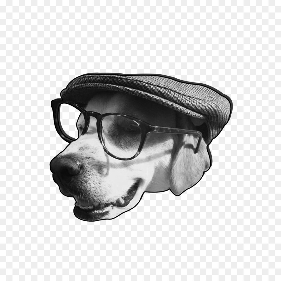 óculos，Cachorro PNG