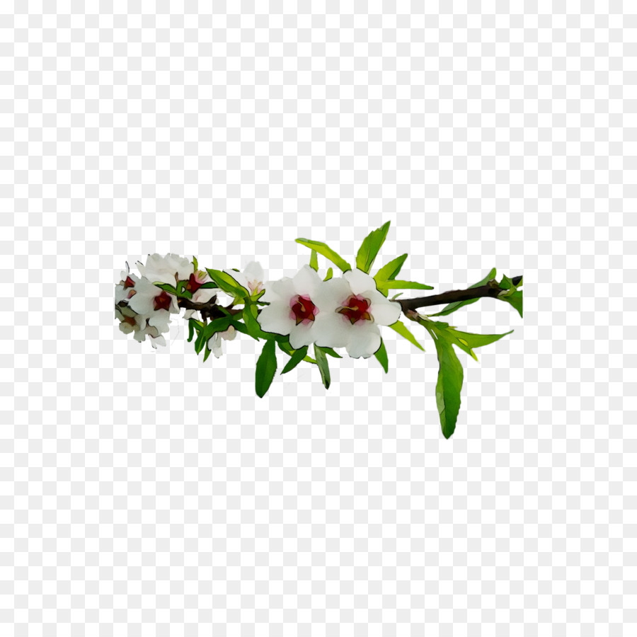 Design Floral，Flores De Corte PNG