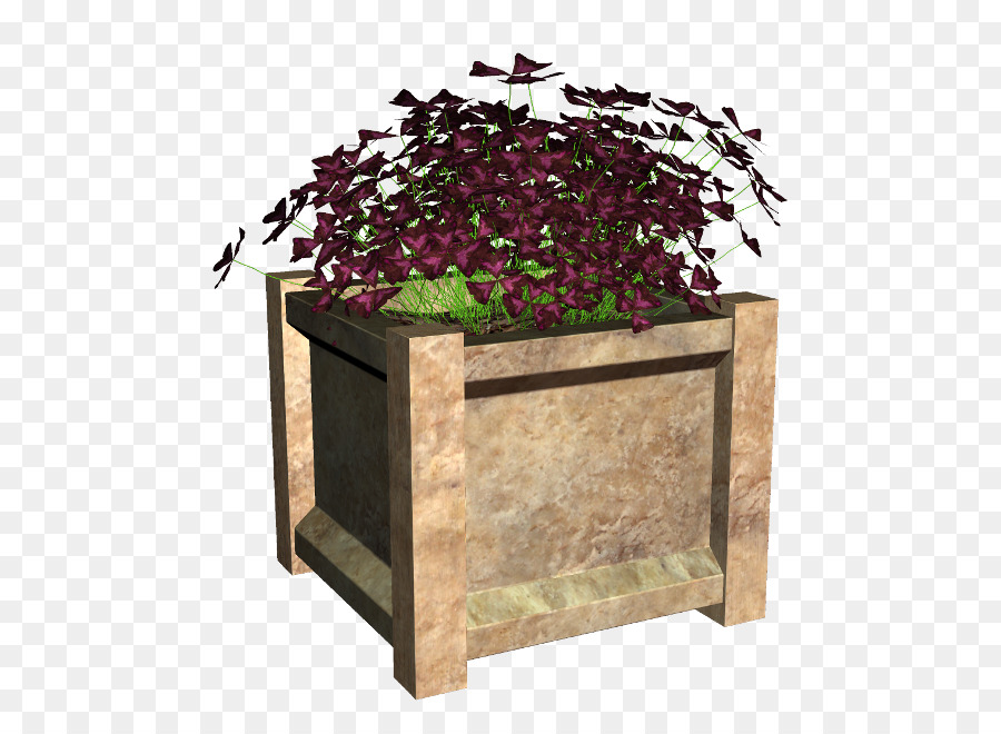 Flowerpot，Planta De Casa PNG