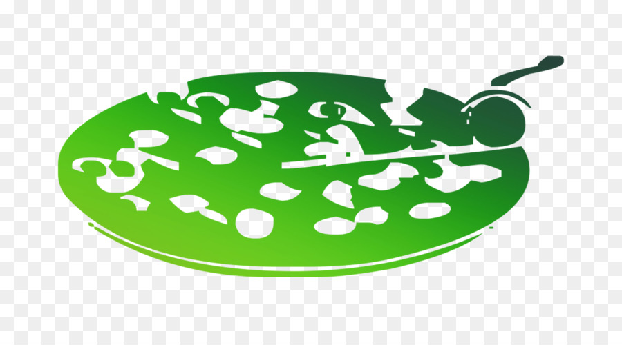 Verde，Folha PNG