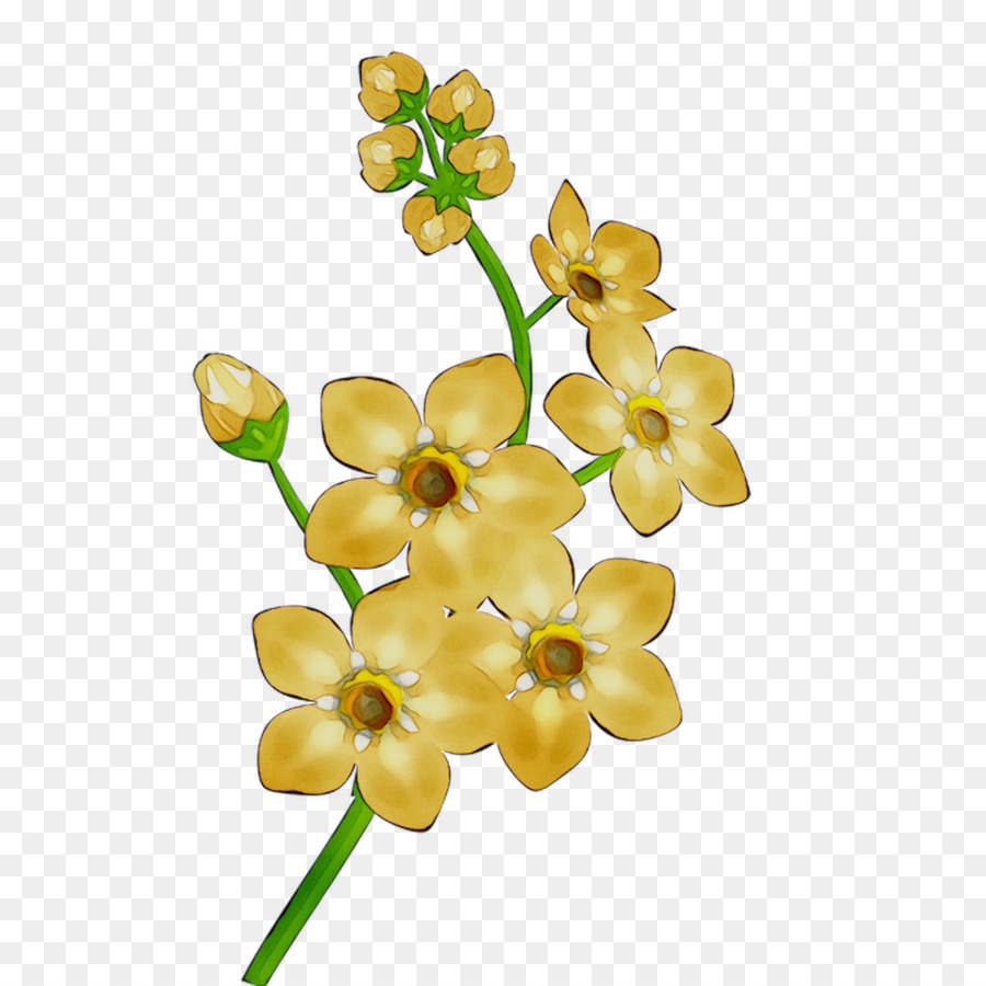 Flores De Corte，Body Jóias PNG