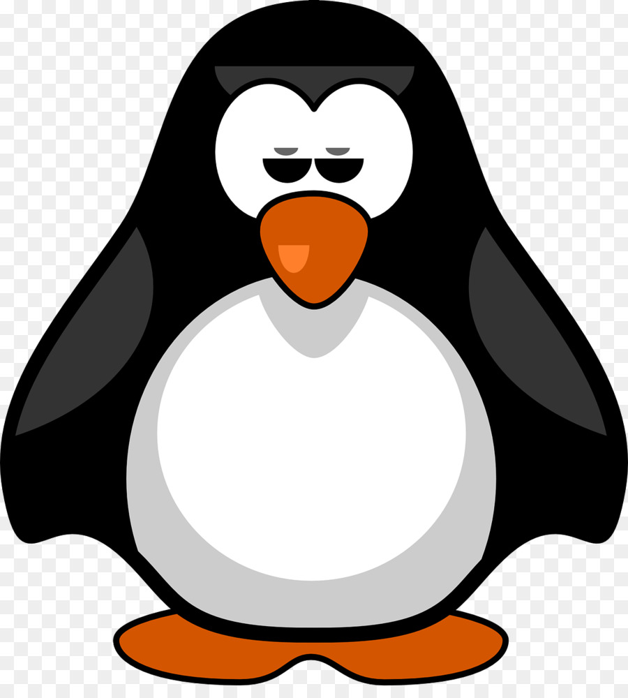 Penguin，Aves PNG