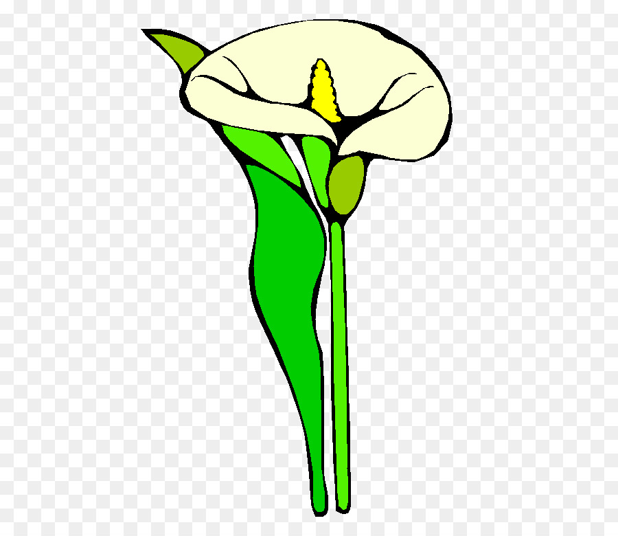 Royaltyfree，Lily PNG