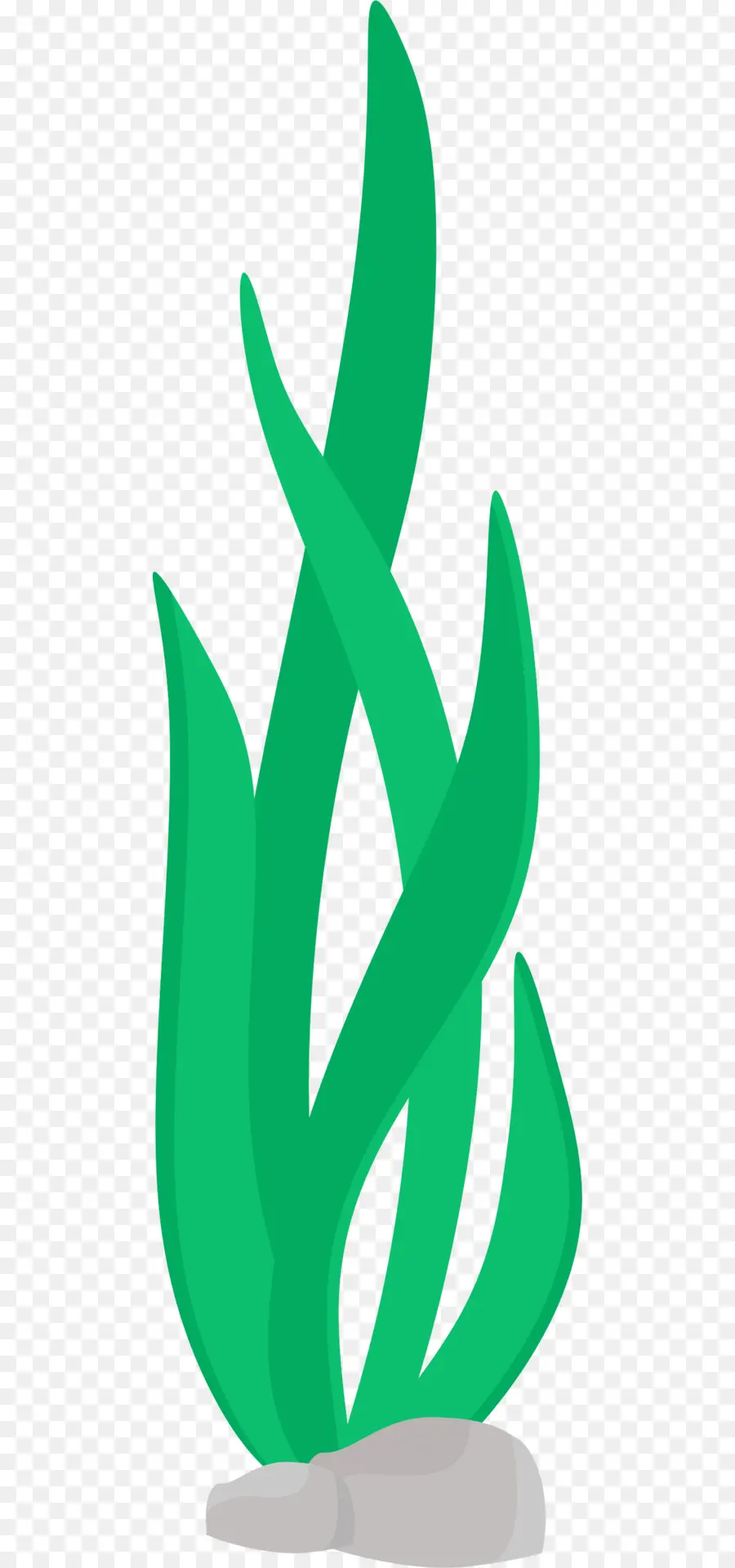 Desenho，Algae PNG