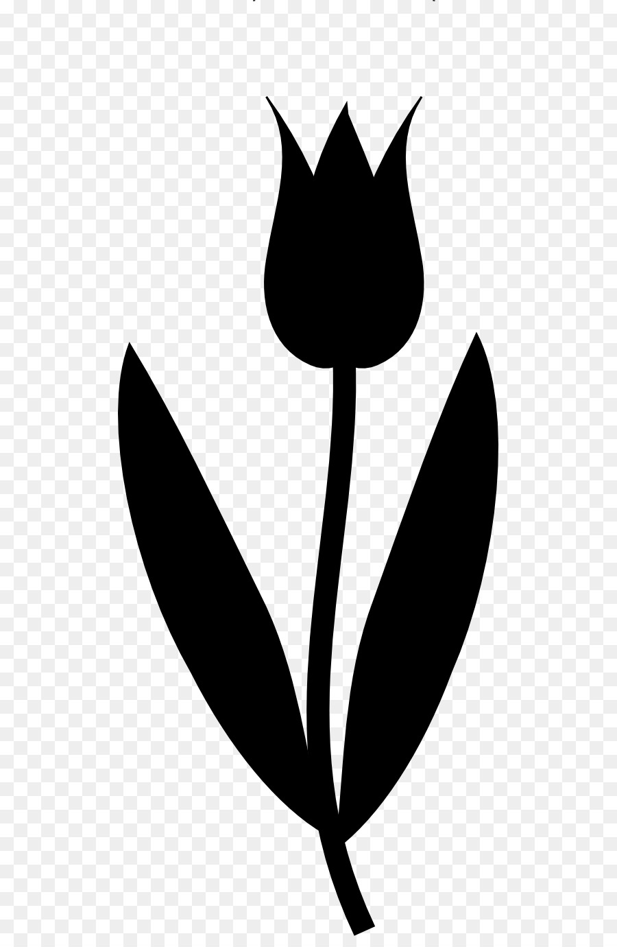 Tulipa Negra，Plantar PNG