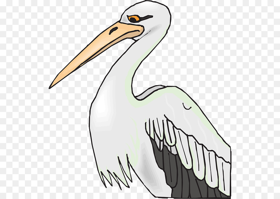 Pássaro，Pelicano Branco Americano PNG