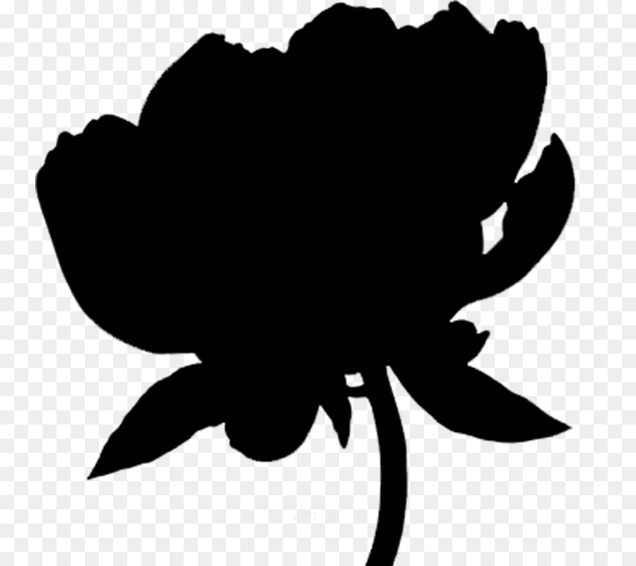 Flores Negras，Natureza PNG