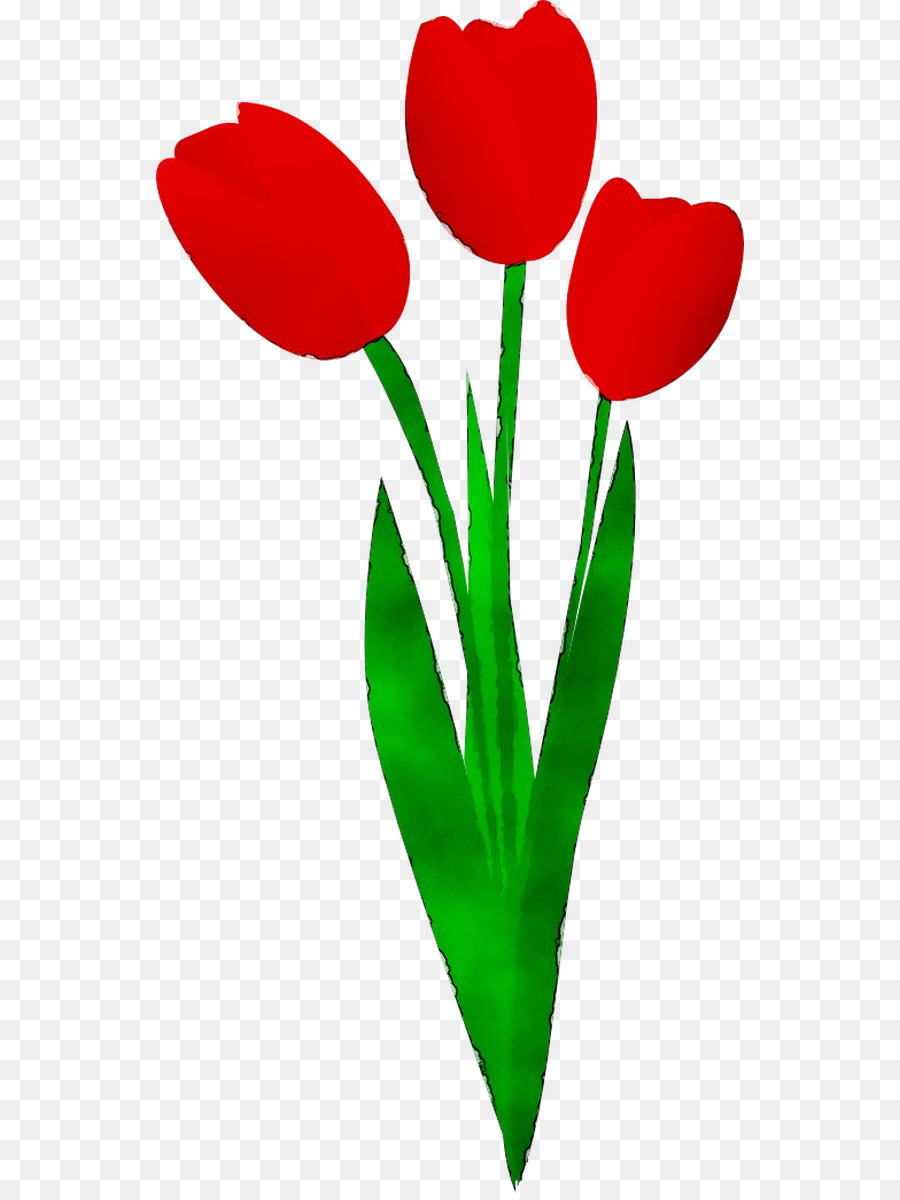 Flor，Vermelho PNG