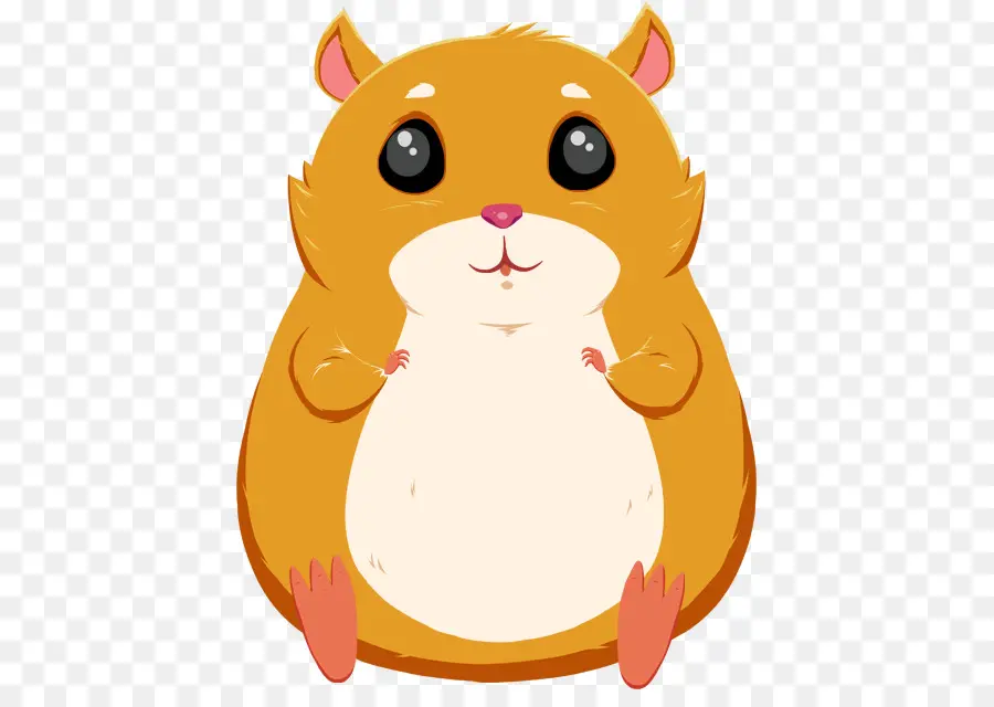 Hamster，Gato PNG