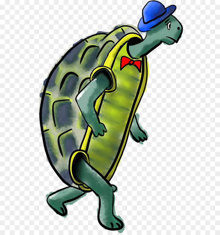 Tartaruga，Turtle PNG