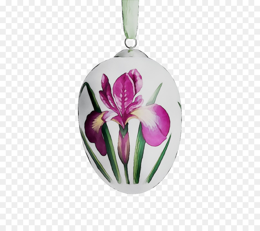 Tulip，Flores De Corte PNG