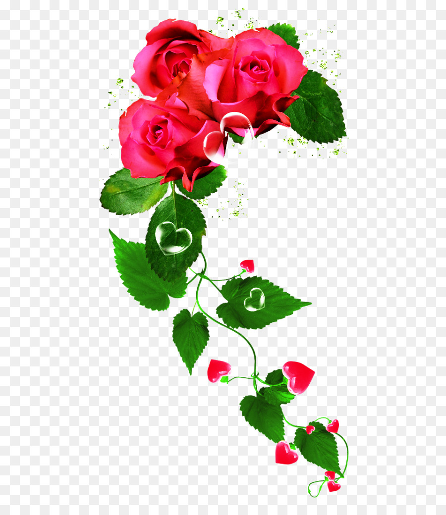 Rosas，Vermelho PNG