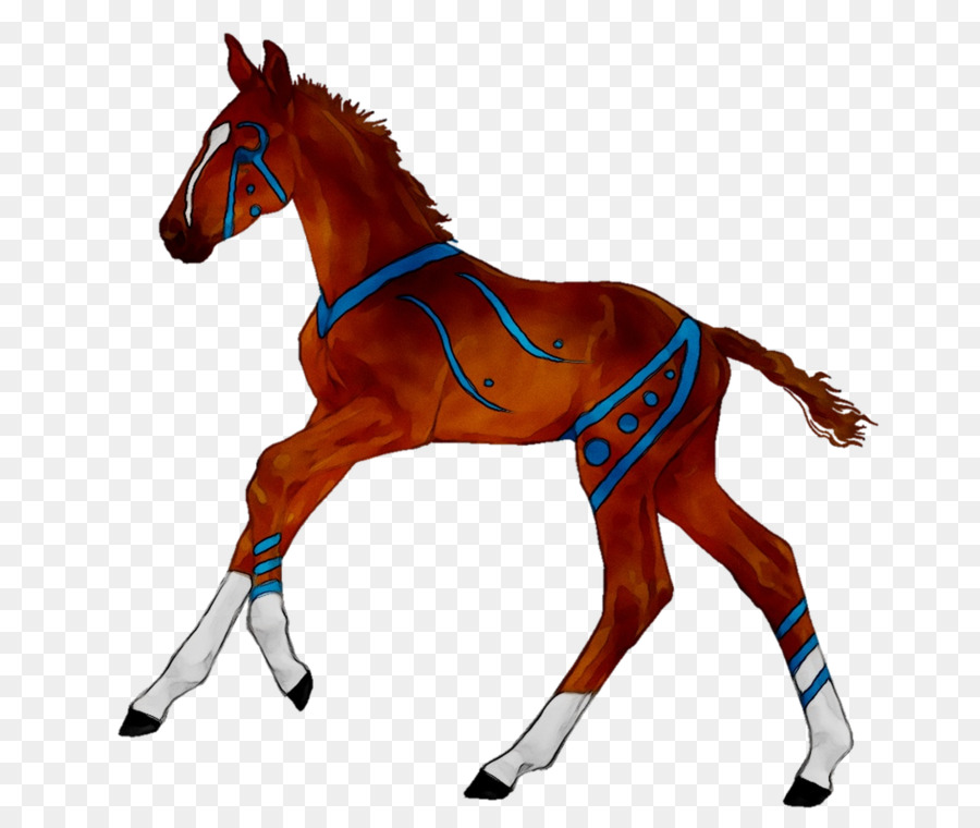 Cavalo，Equino PNG