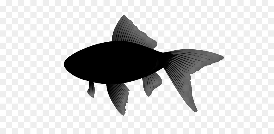 Peixe，Pesca PNG