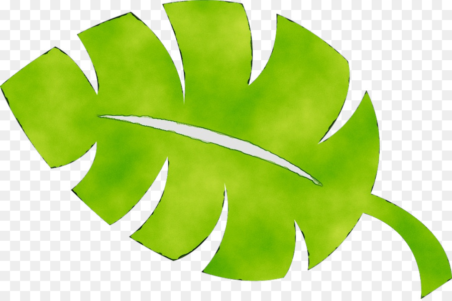 Folha Verde，Plantar PNG