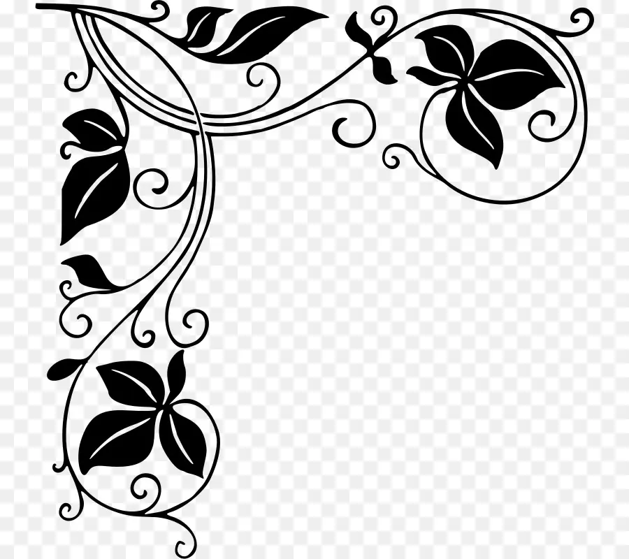 Floral，Folhas PNG