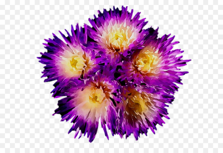 Flor Roxa，Florescer PNG