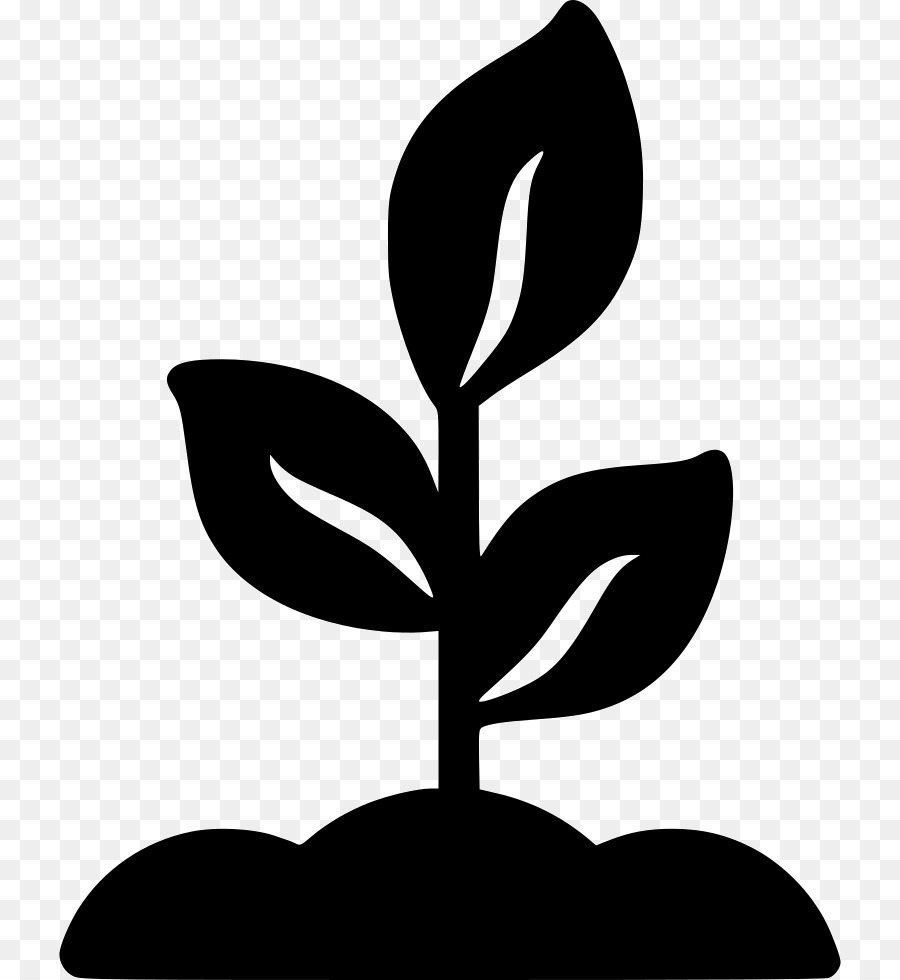 Logo，Plantas PNG