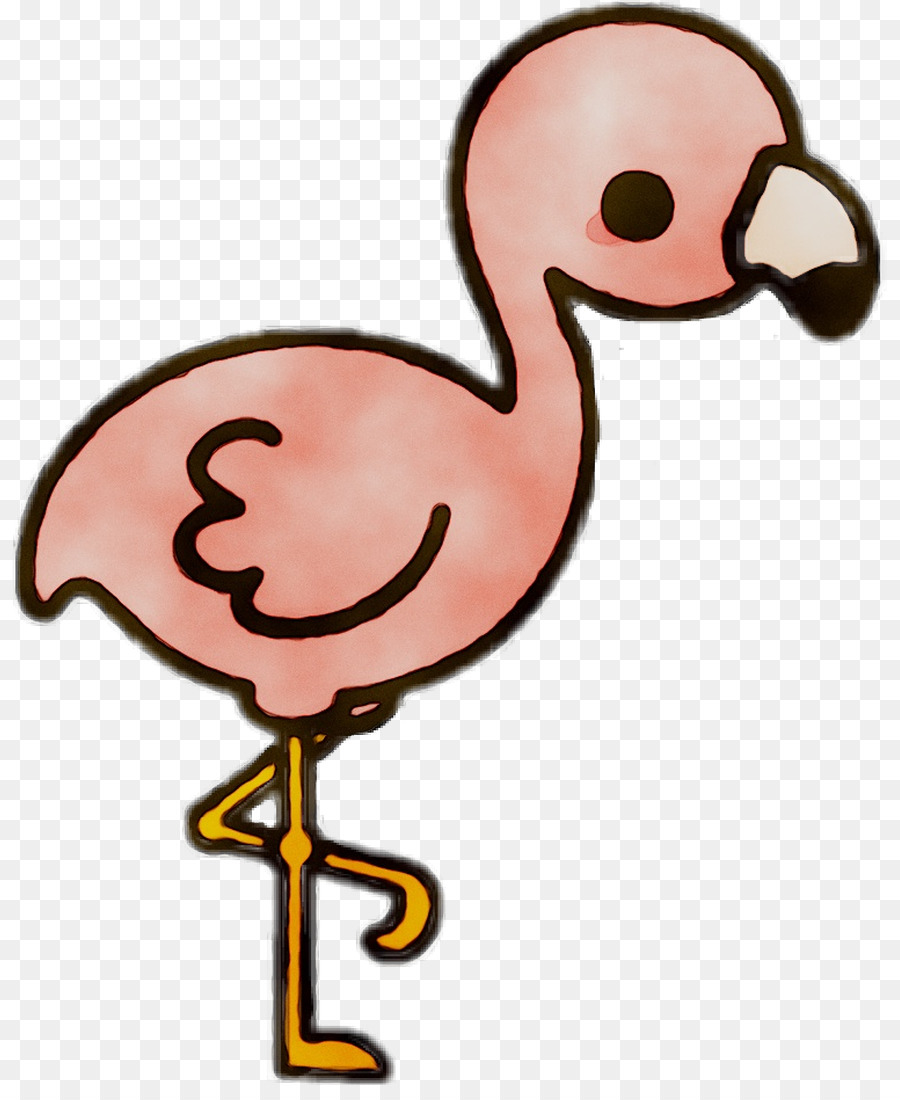 Flamingo，Pássaro PNG