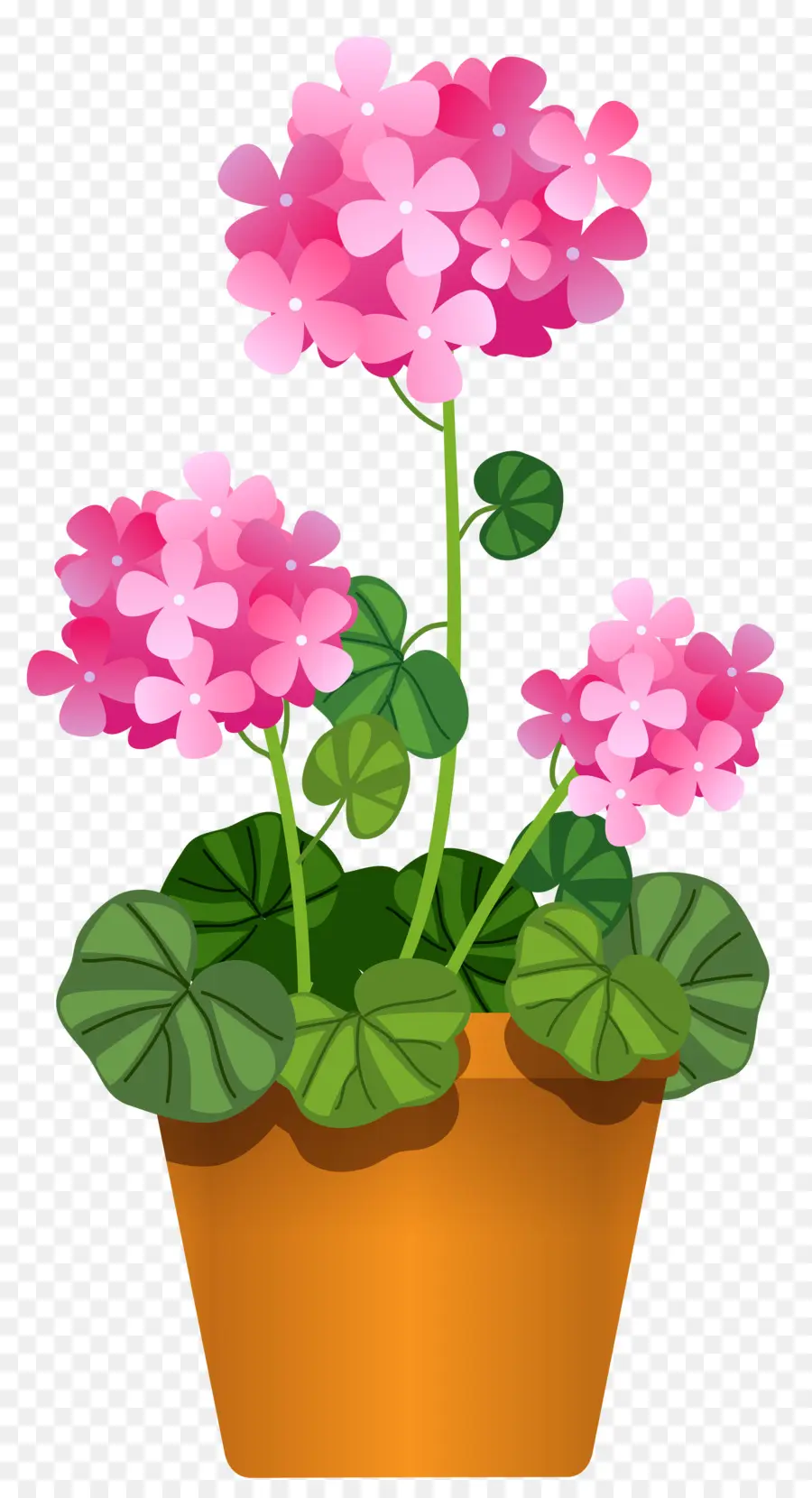 Flores Cor De Rosa，Pote PNG