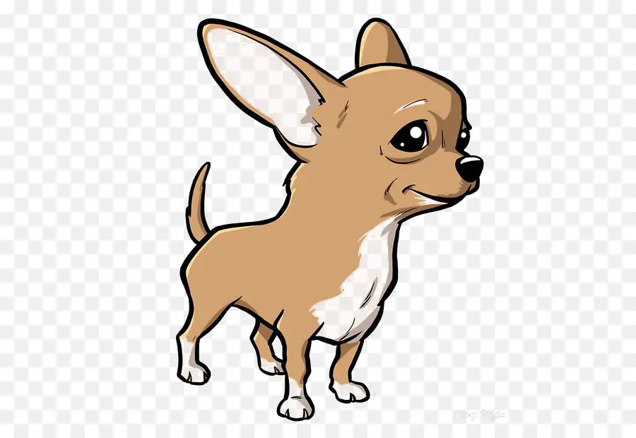 Chihuahua，Filhote De Cachorro PNG