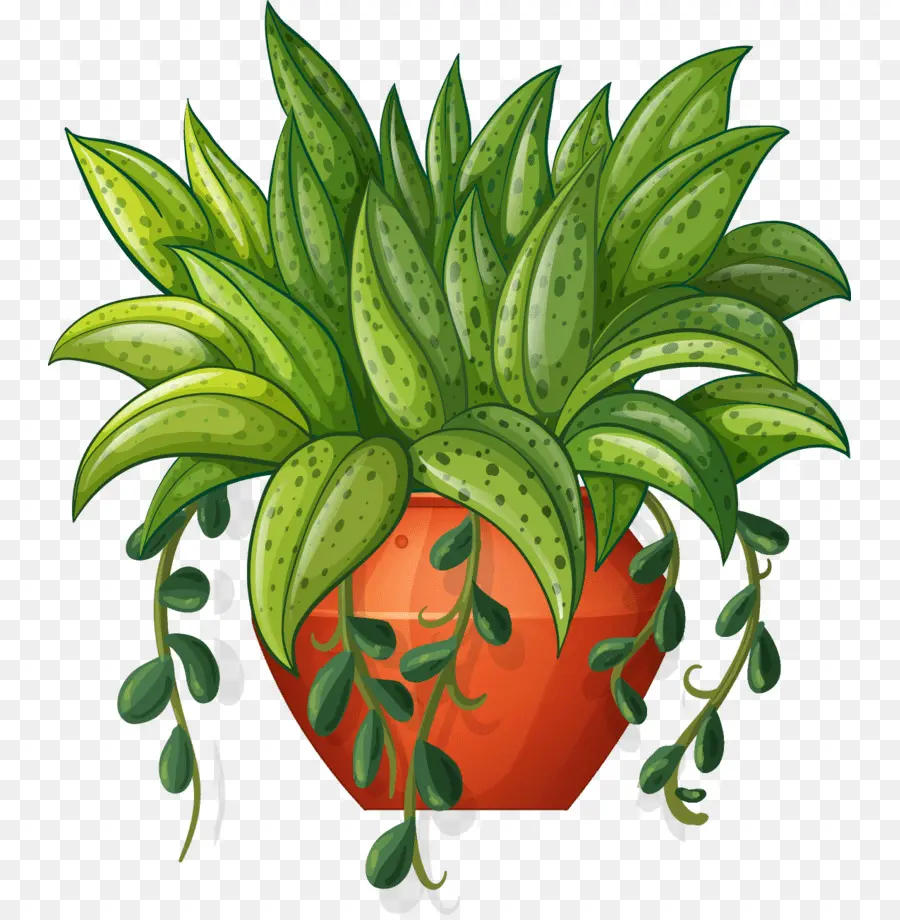 Flowerpot，Plantas PNG