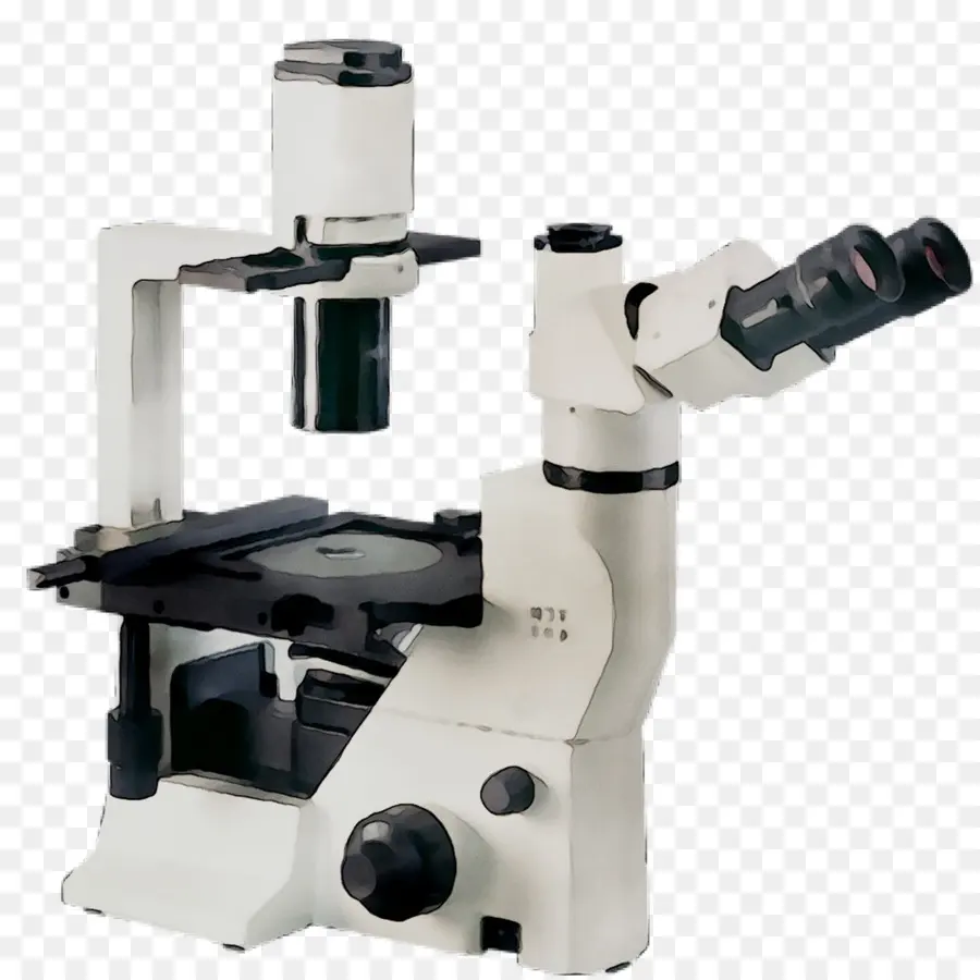 Microscópio，Universidade Damghan PNG