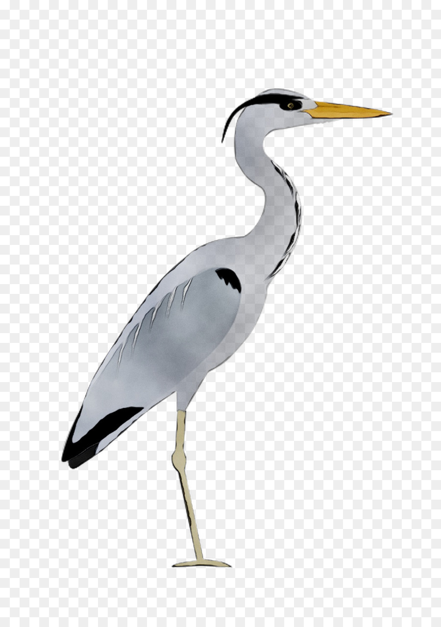 Grande Garça，Heron PNG